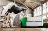 Obrazek Robot sprzątający JOZ Barn-e do odchodów zwierzęcych Fullwood JOZ Barne
