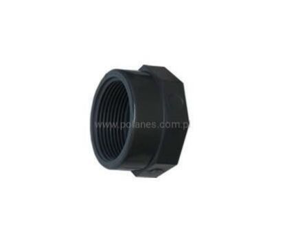 Obrazek Zaślepka PVC GW 2"
